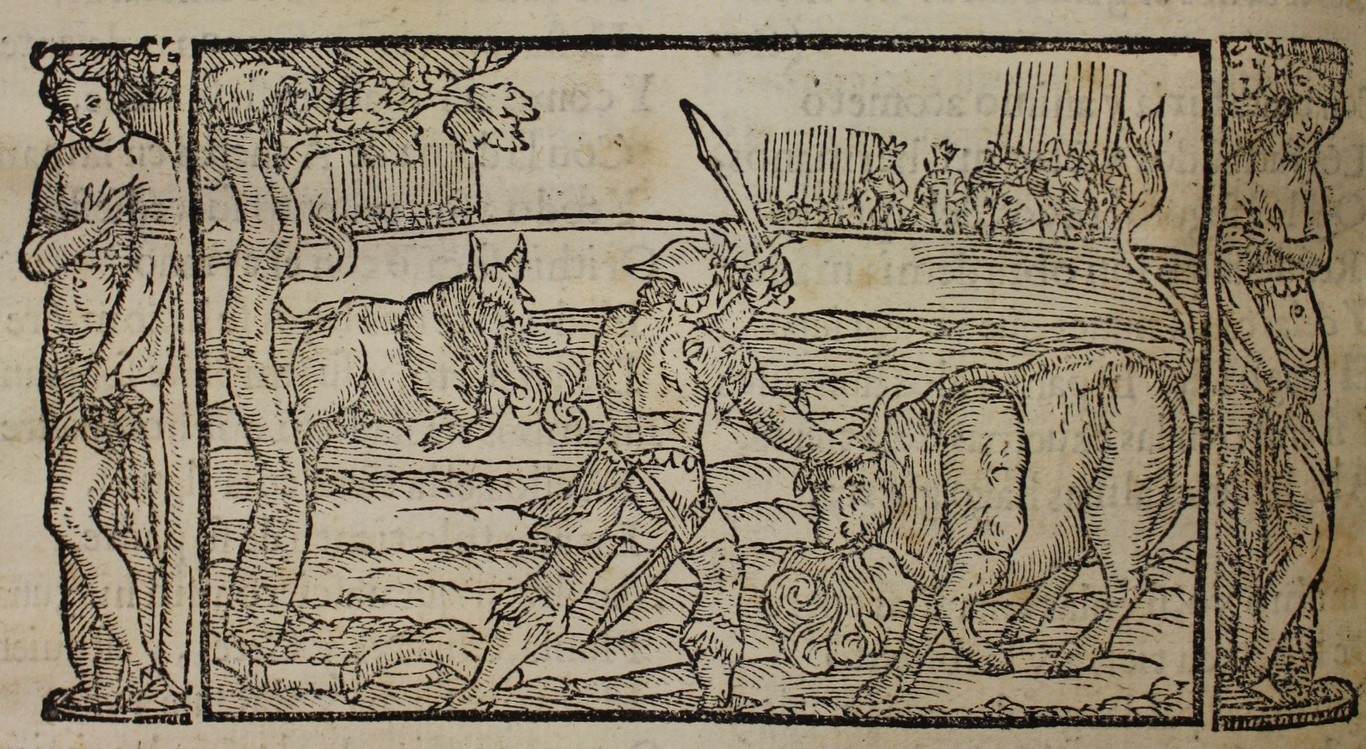 images/images/M.BHMV.Vall.1589a/M.BHMV.Vall.1589a.7.jpg